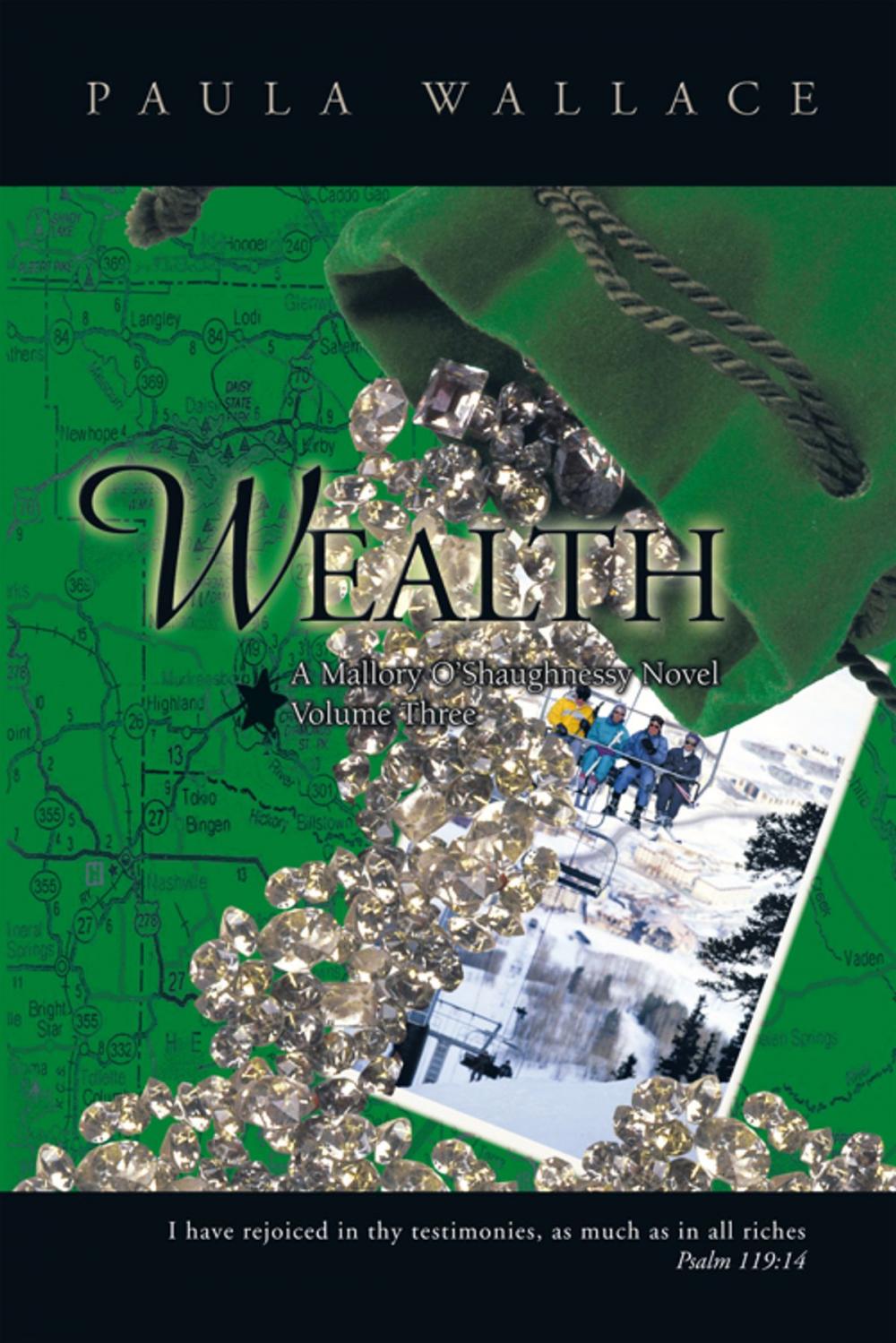 Big bigCover of Wealth: a Mallory O’Shaughnessy Novel