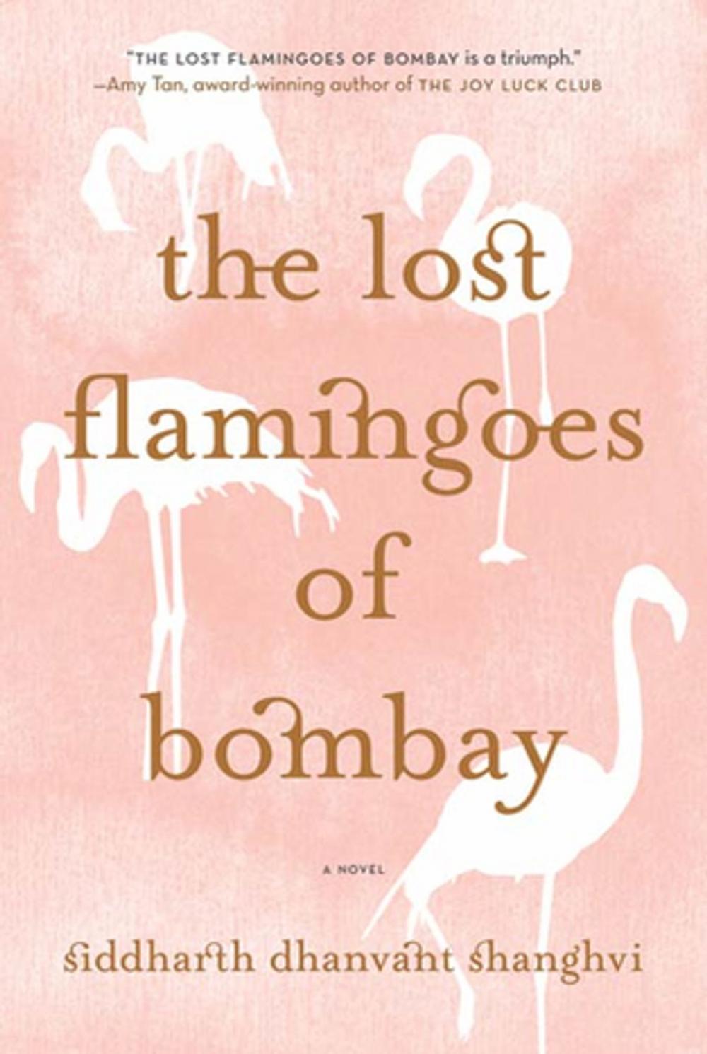 Big bigCover of The Lost Flamingoes of Bombay