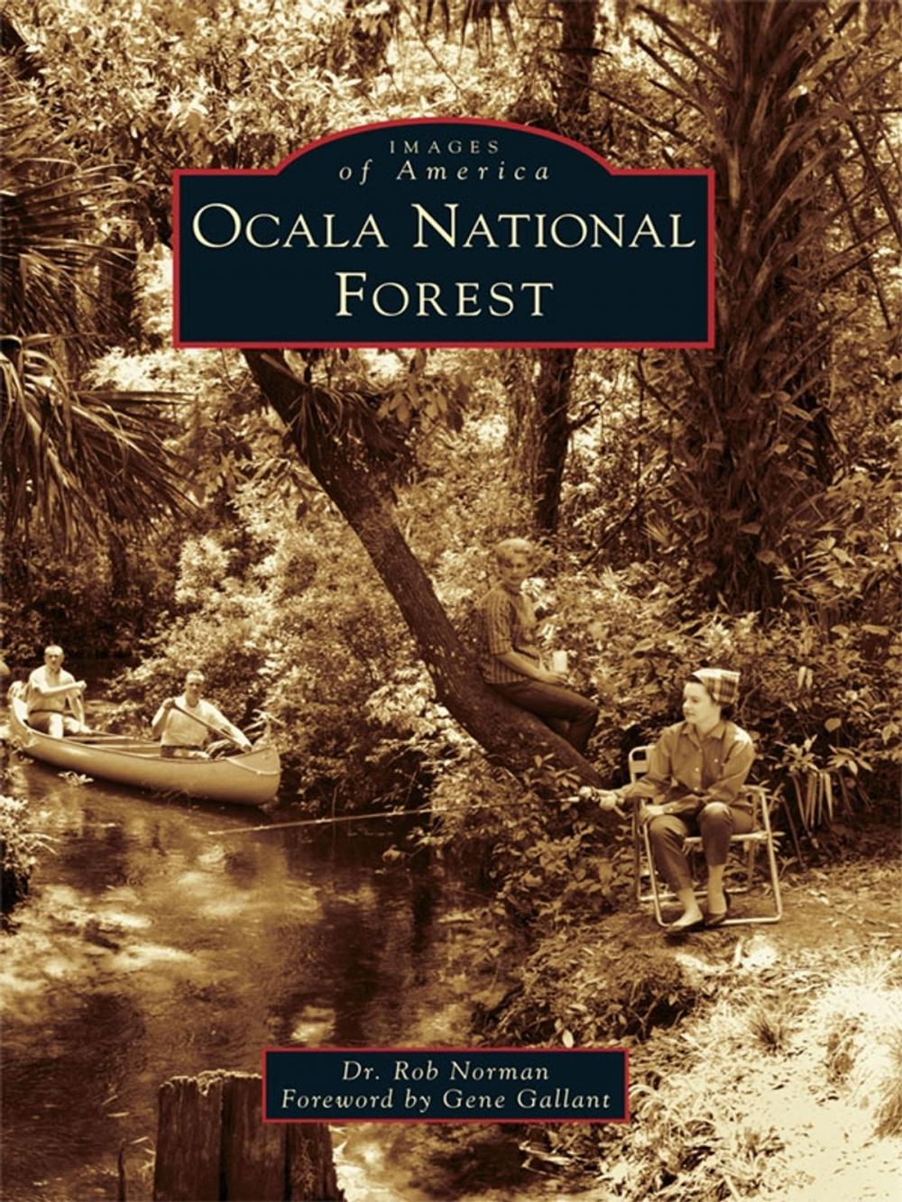 Big bigCover of Ocala National Forest