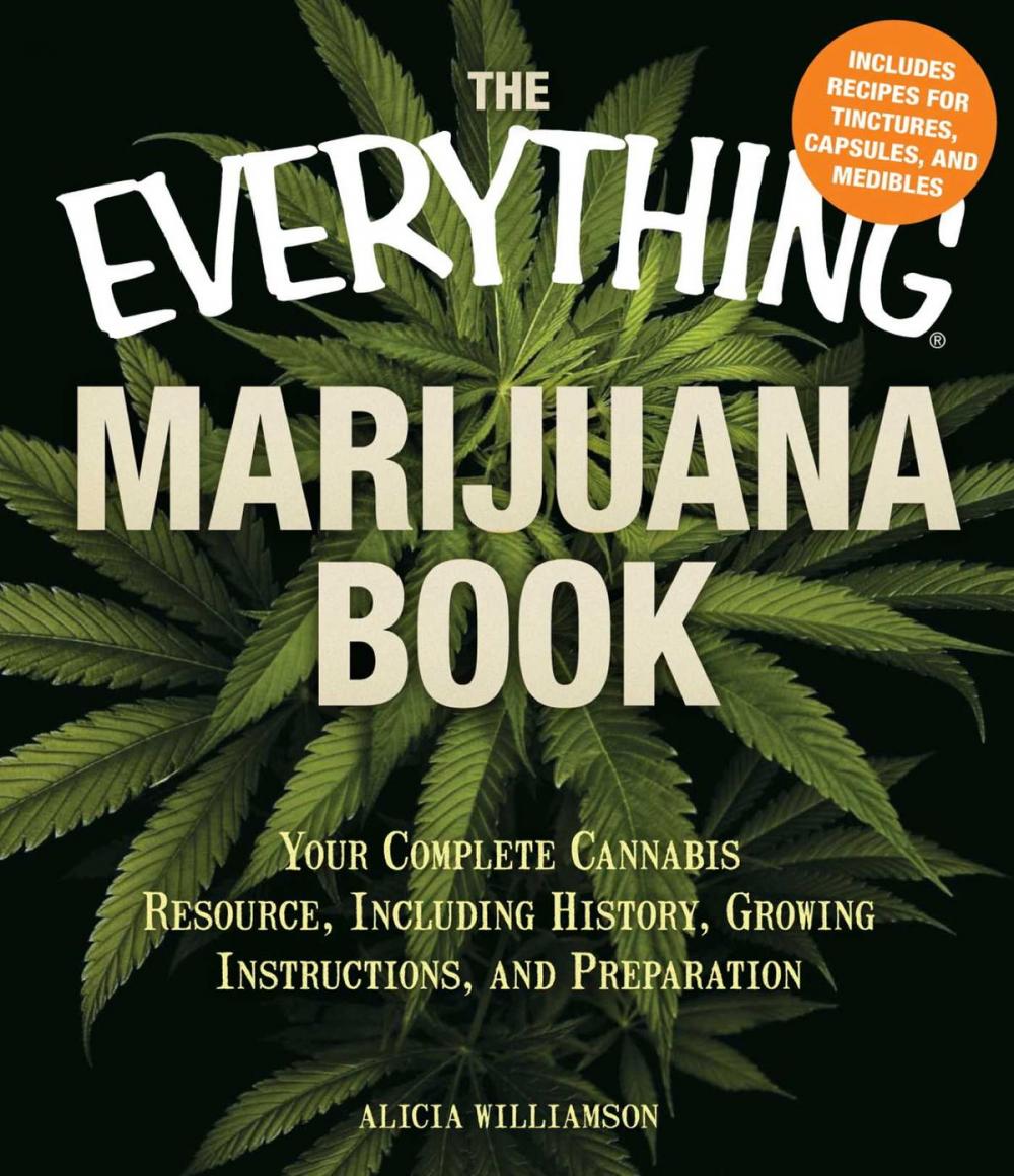 Big bigCover of The Everything Marijuana Book