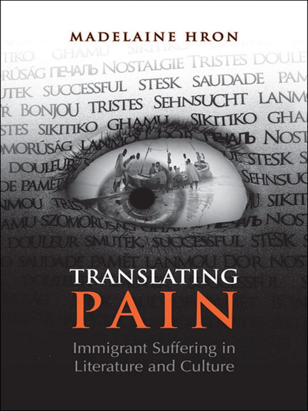 Big bigCover of Translating Pain