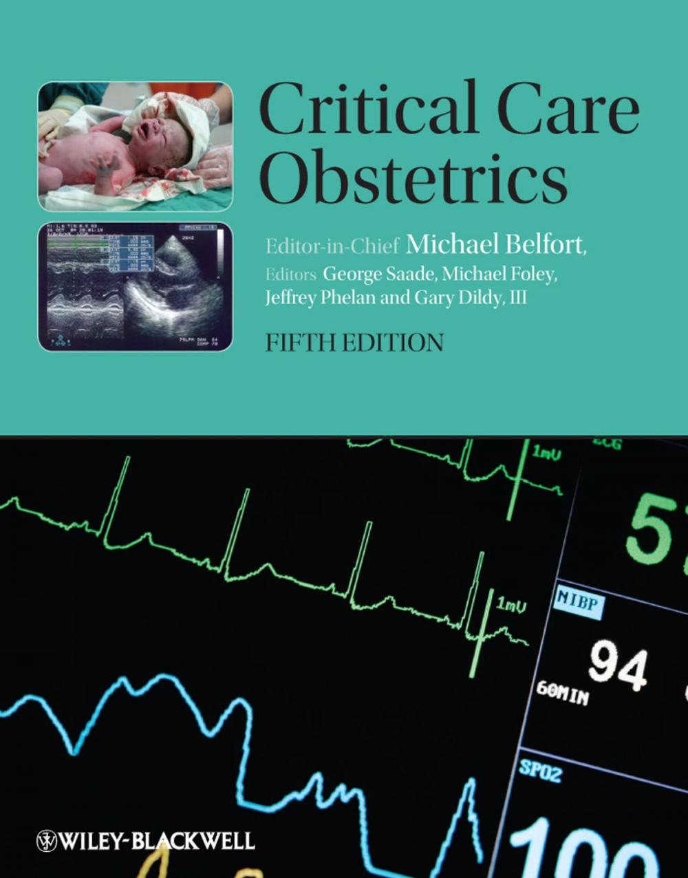 Big bigCover of Critical Care Obstetrics