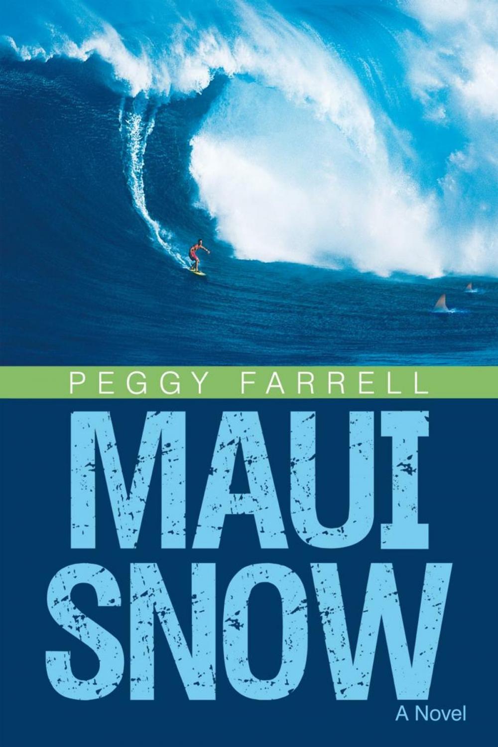 Big bigCover of Maui Snow