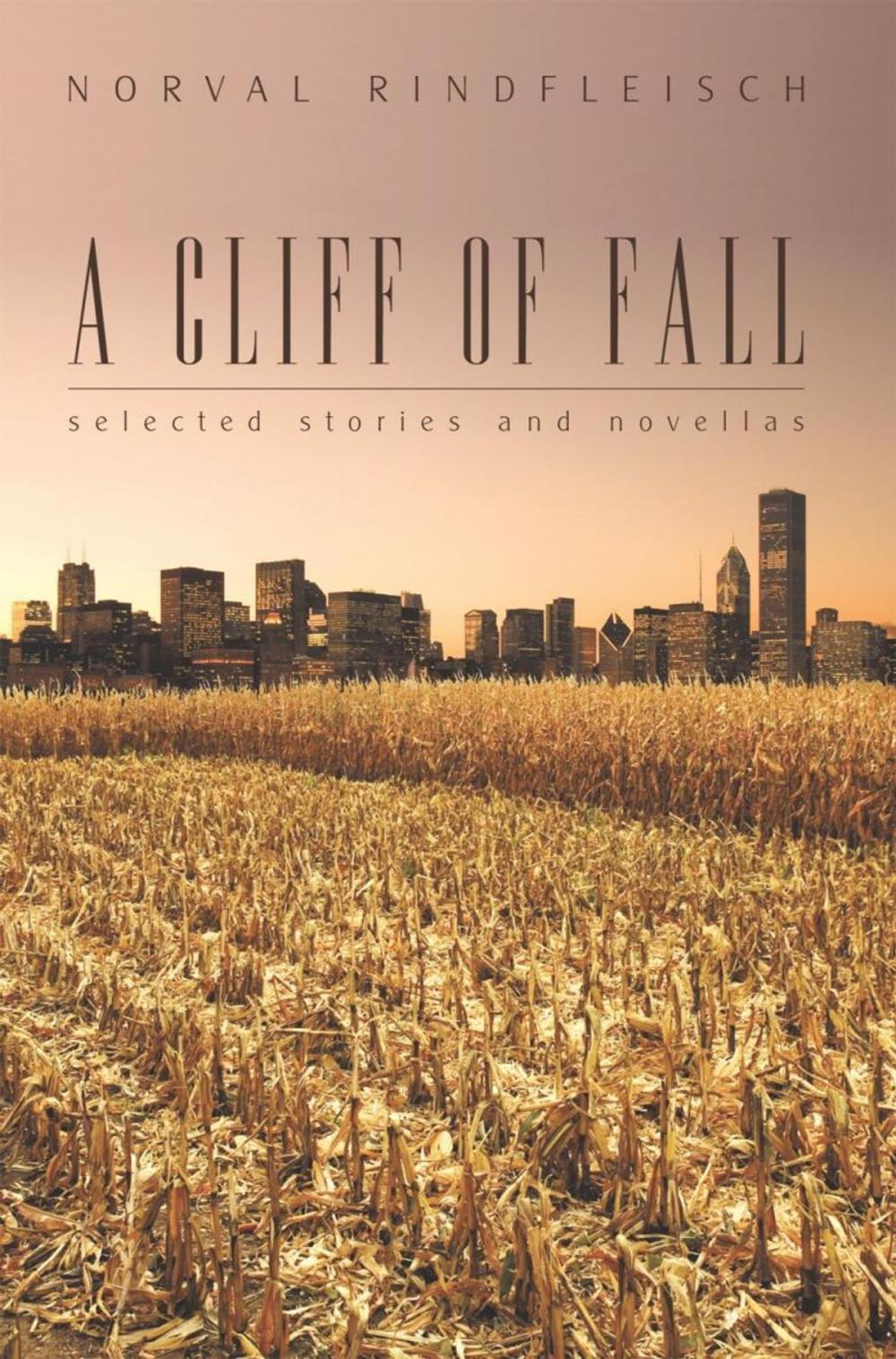 Big bigCover of A Cliff of Fall