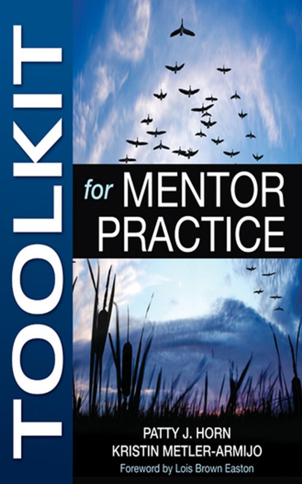 Big bigCover of Toolkit for Mentor Practice