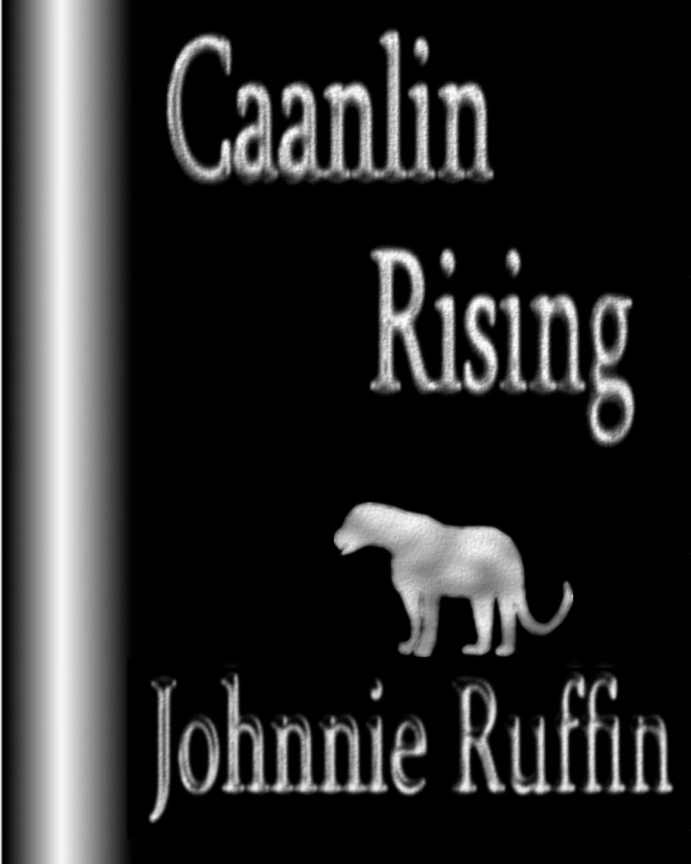 Big bigCover of Caanlin Rising