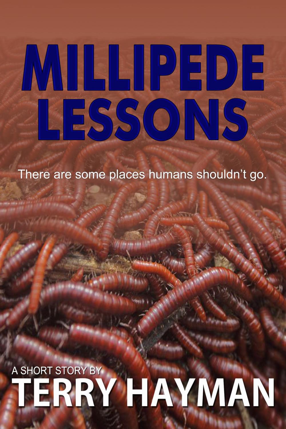 Big bigCover of Millipede Lessons