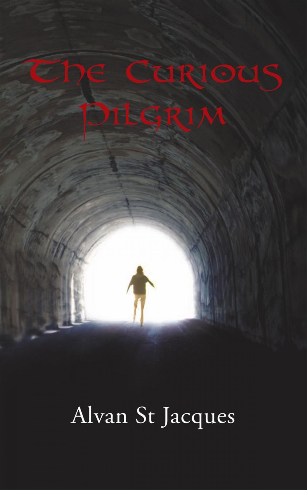 Big bigCover of The Curious Pilgrim