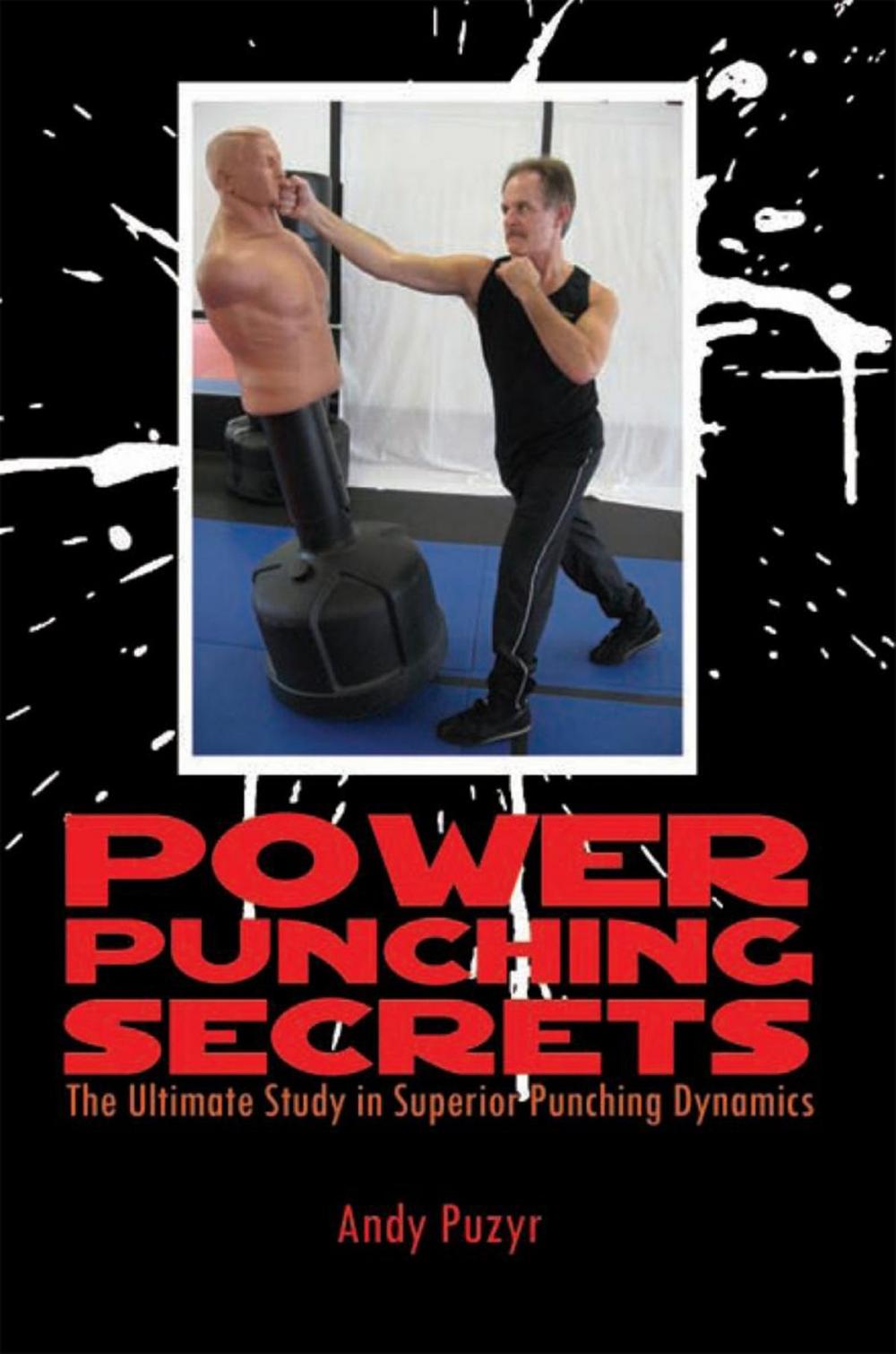 Big bigCover of Power Punching Secrets