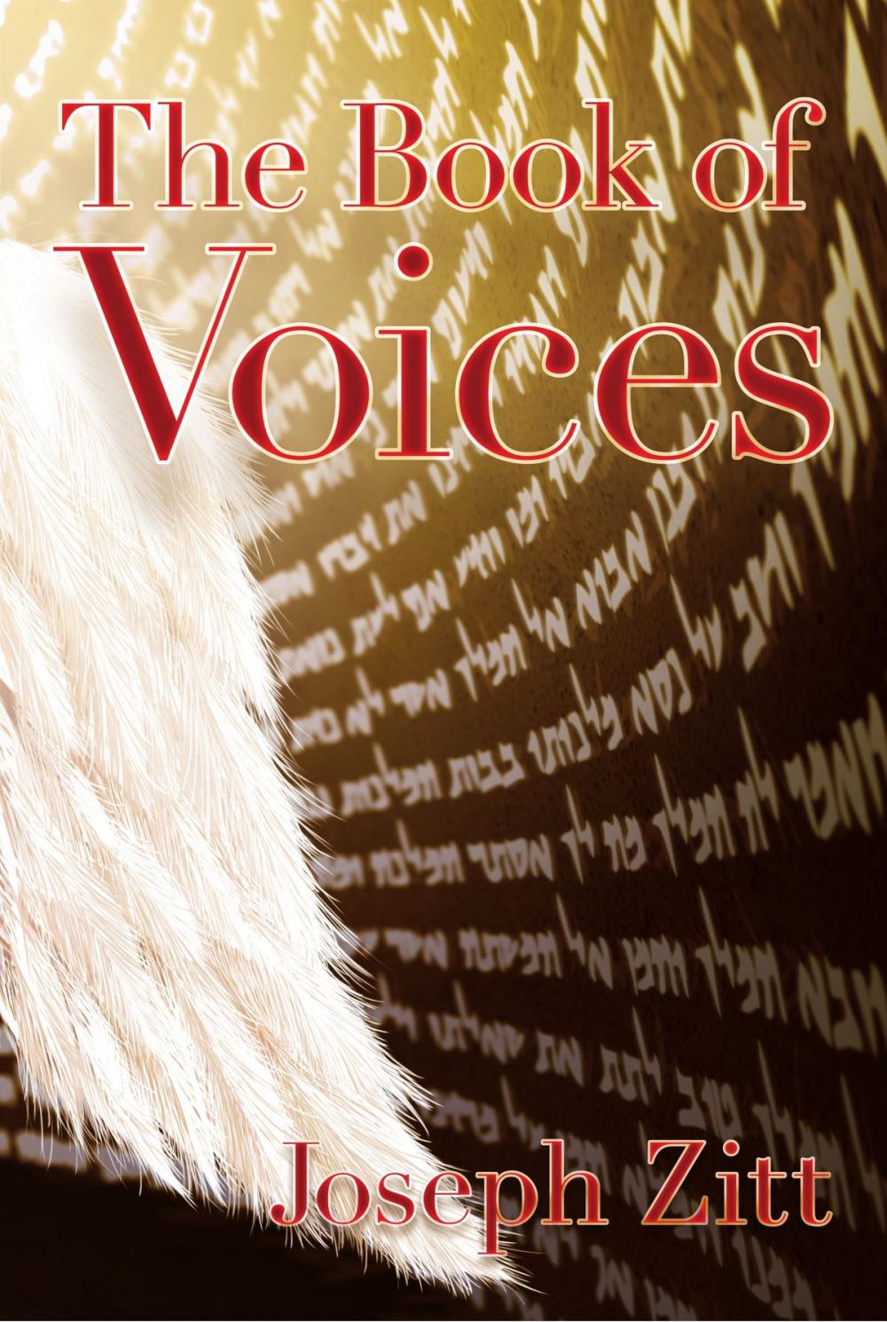 Big bigCover of The Book of Voices