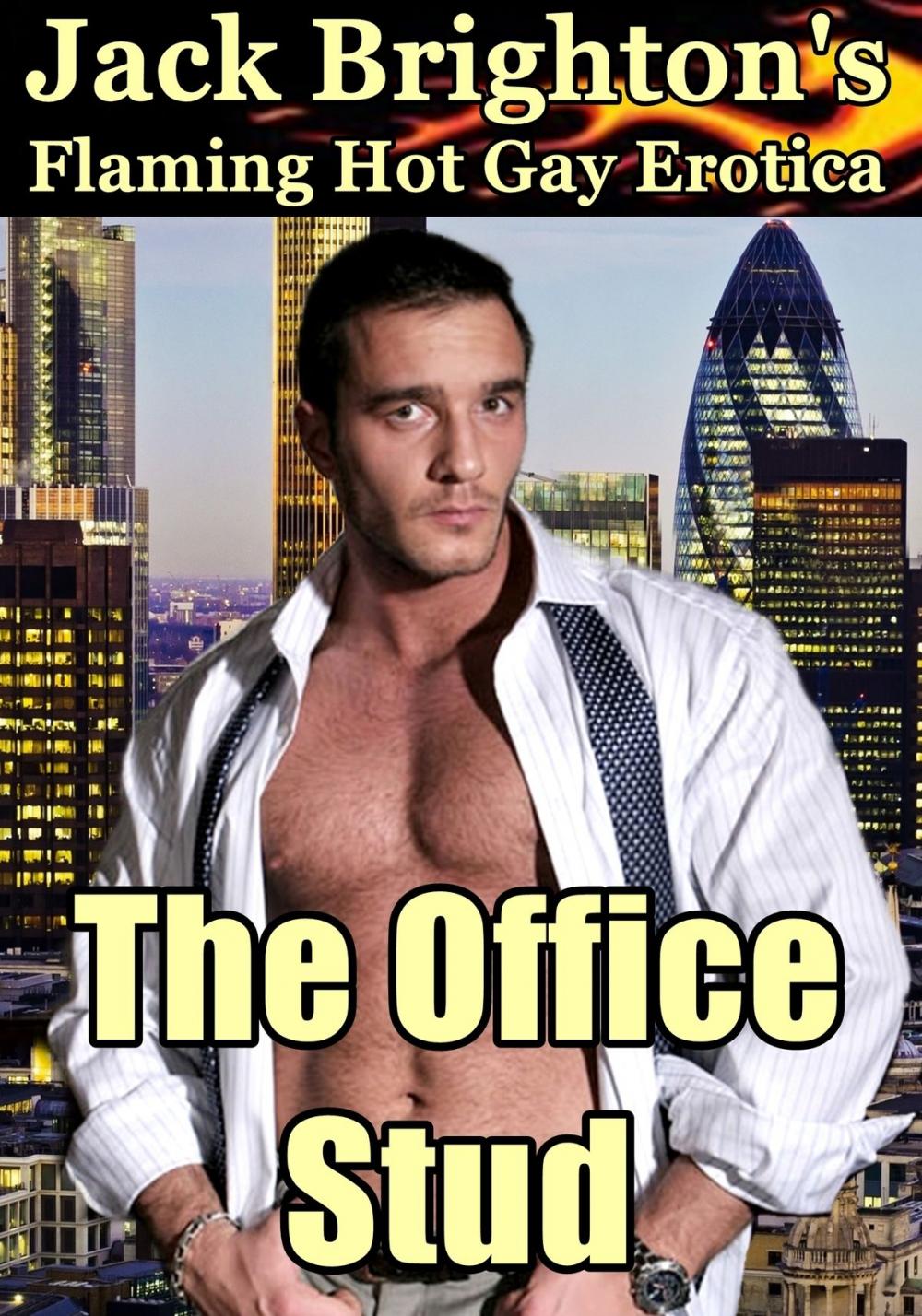 Big bigCover of The Office Stud