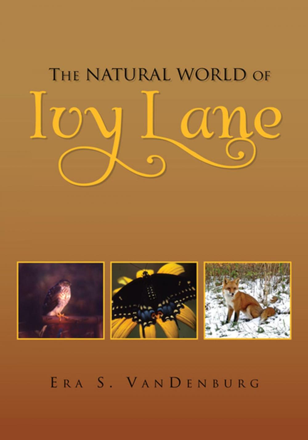 Big bigCover of The Natural World of Ivy Lane