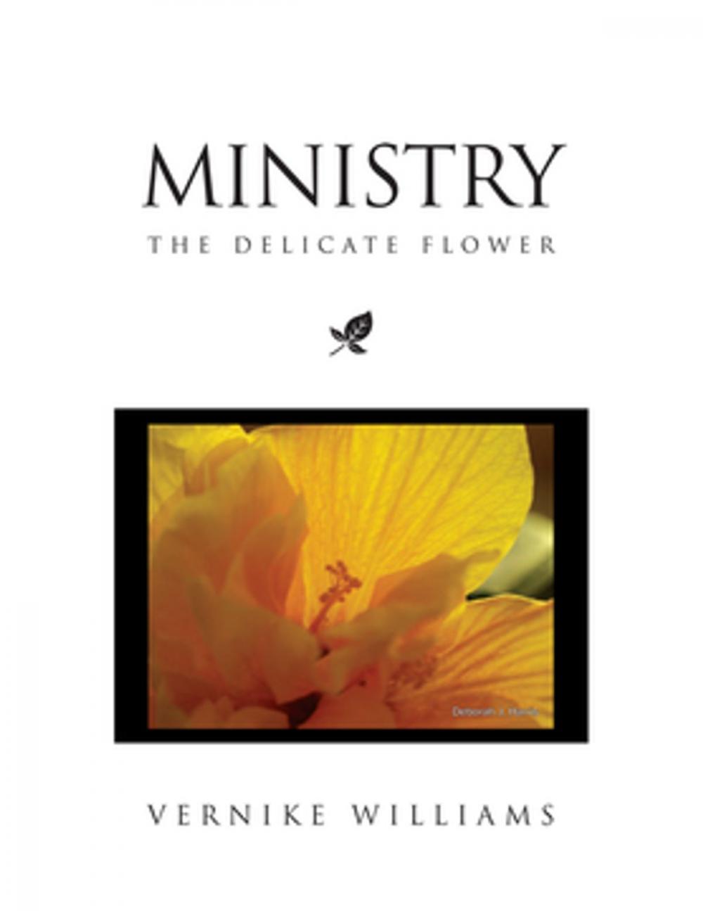 Big bigCover of Ministry: the Delicate Flower