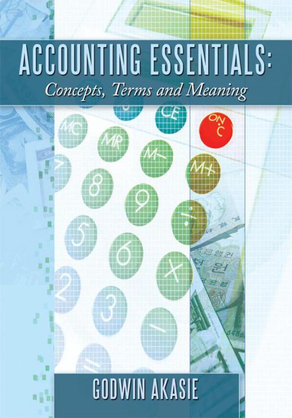 Big bigCover of Accounting Essentials: Concepts, Terms and Meaning