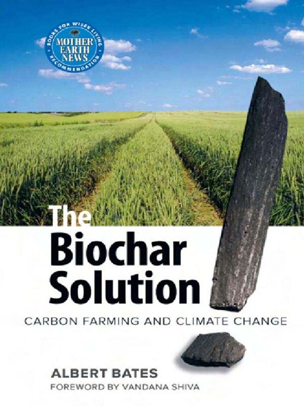 Big bigCover of Biochar Solution