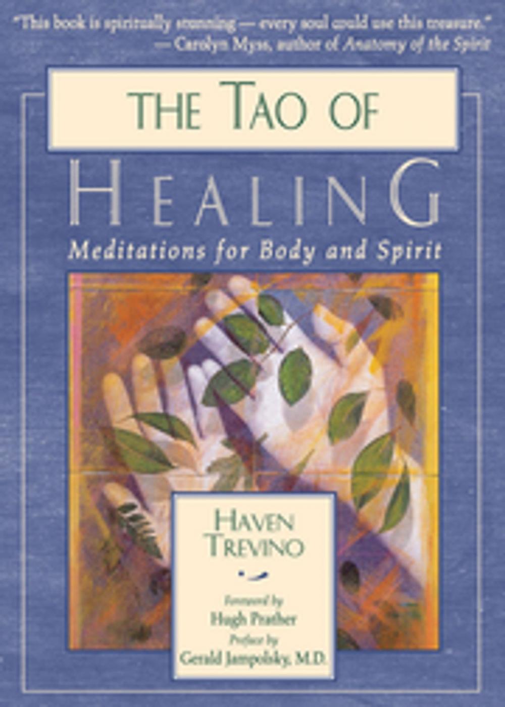 Big bigCover of The Tao of Healing