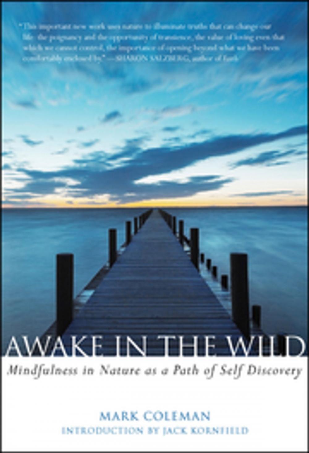 Big bigCover of Awake in the Wild