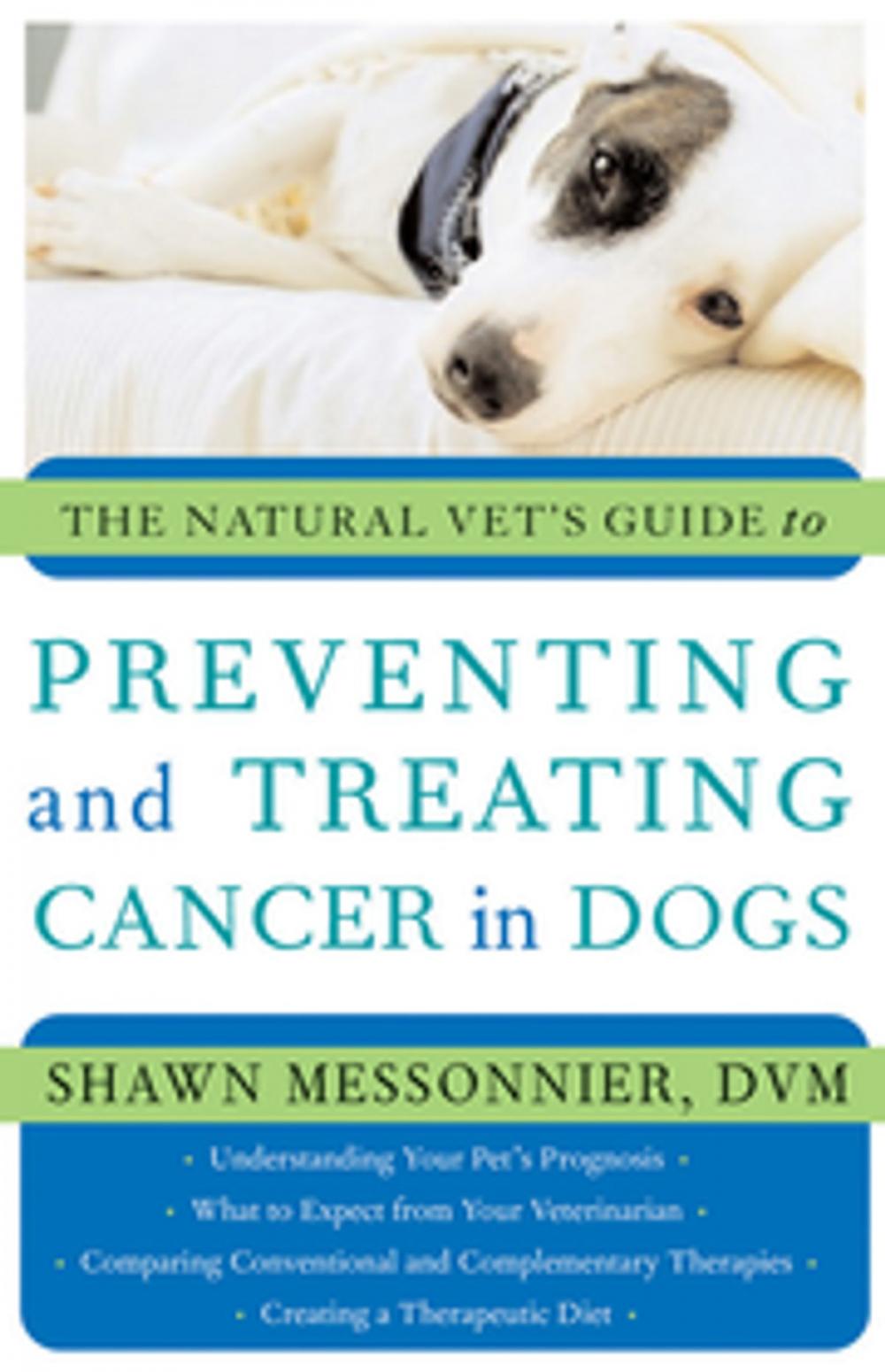 Big bigCover of The Natural Vet's Guide to Preventing and Treating Cancer in Dogs