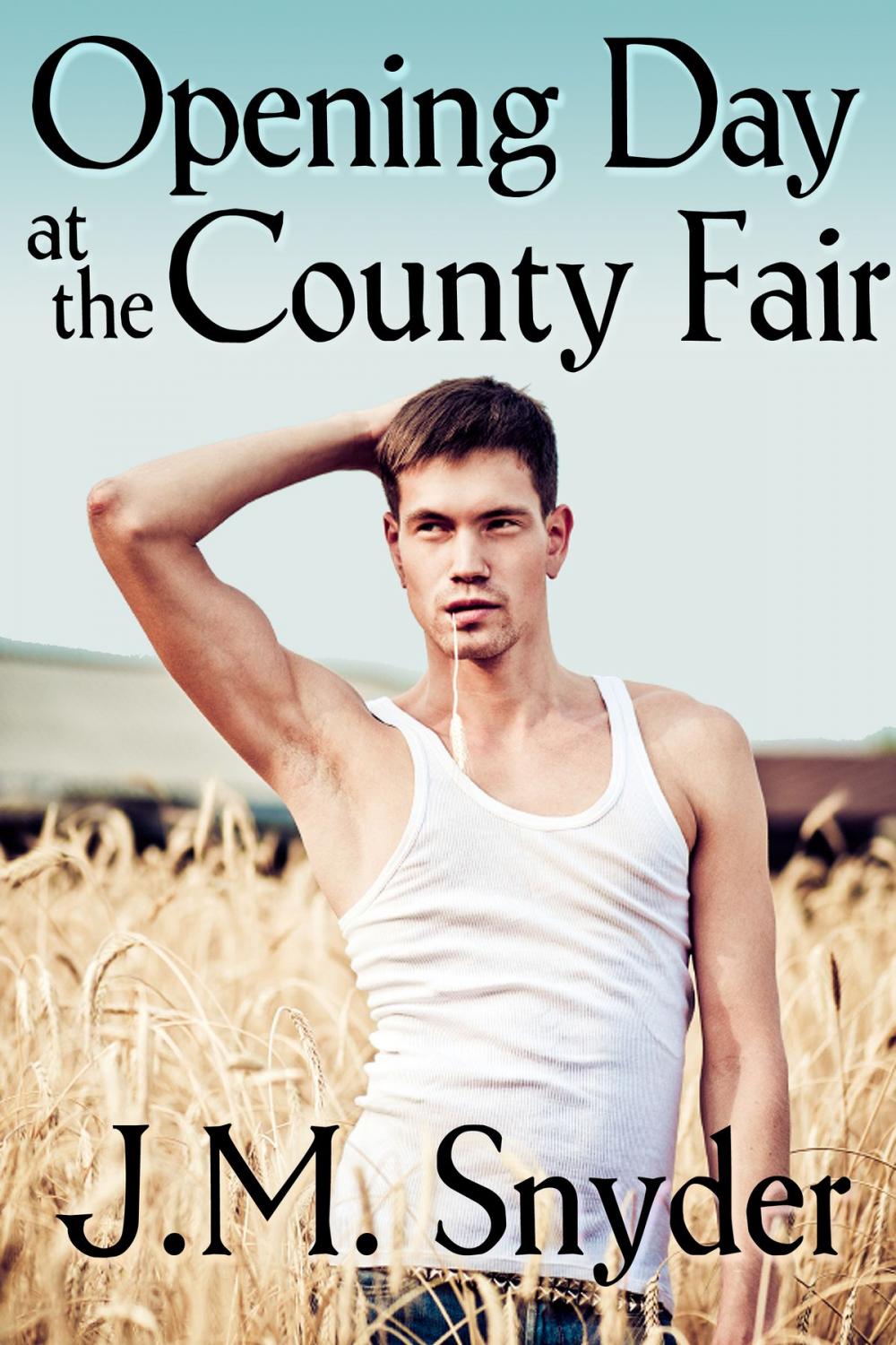 Big bigCover of Opening Day at the County Fair