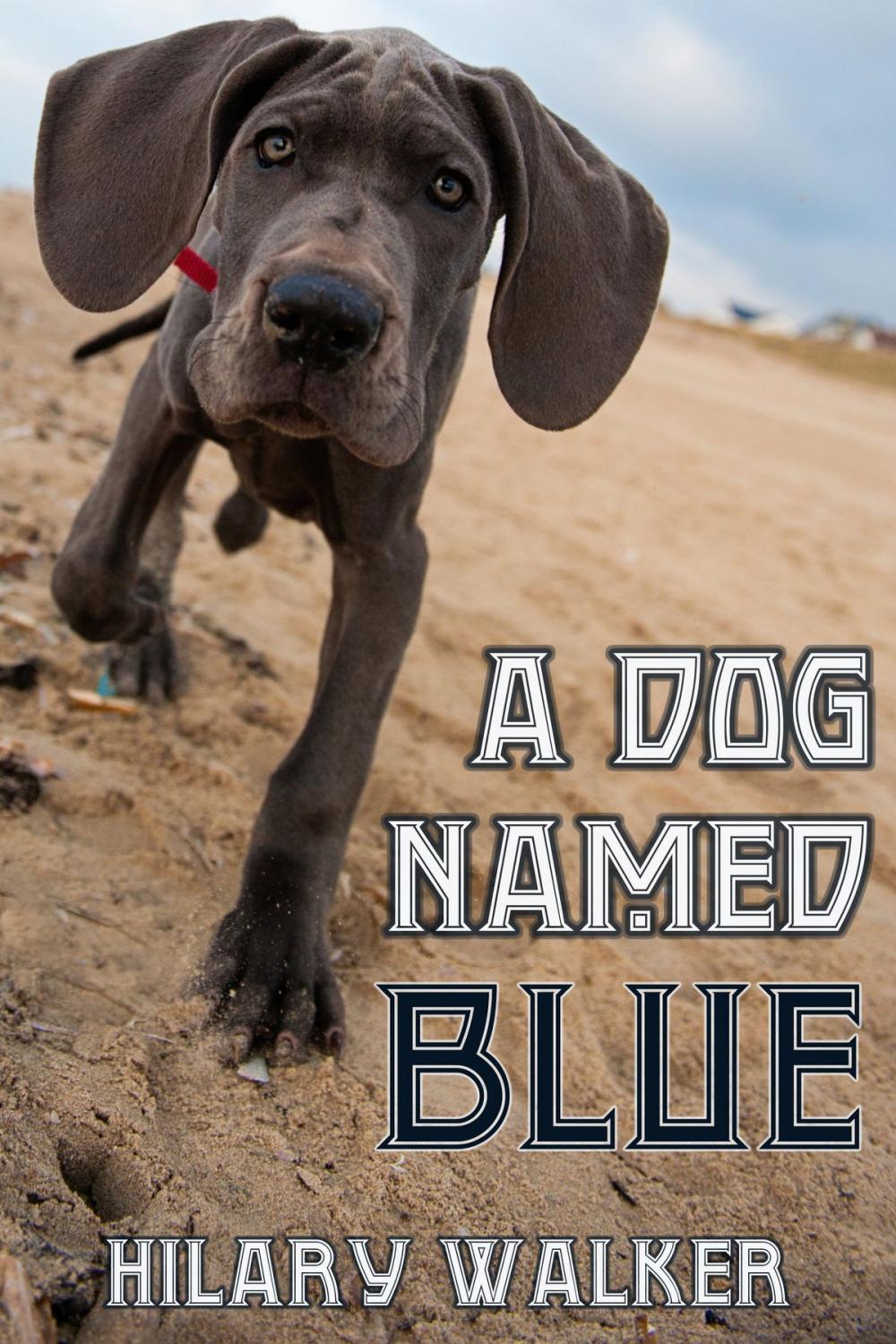 Big bigCover of A Dog Named Blue