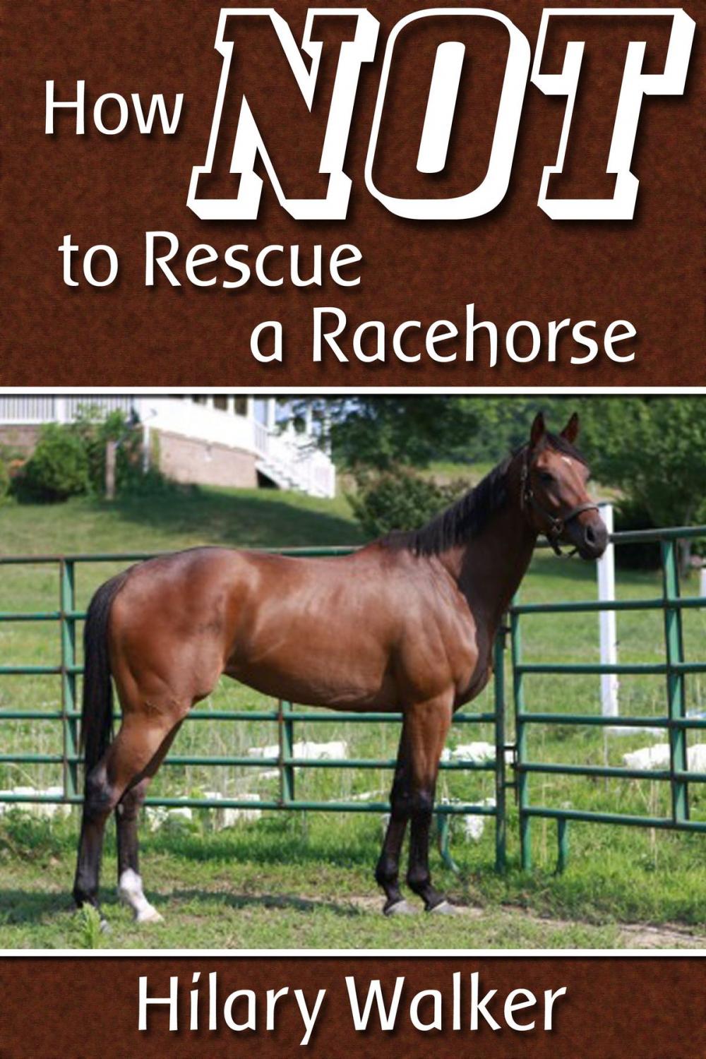 Big bigCover of How Not to Rescue a Racehorse