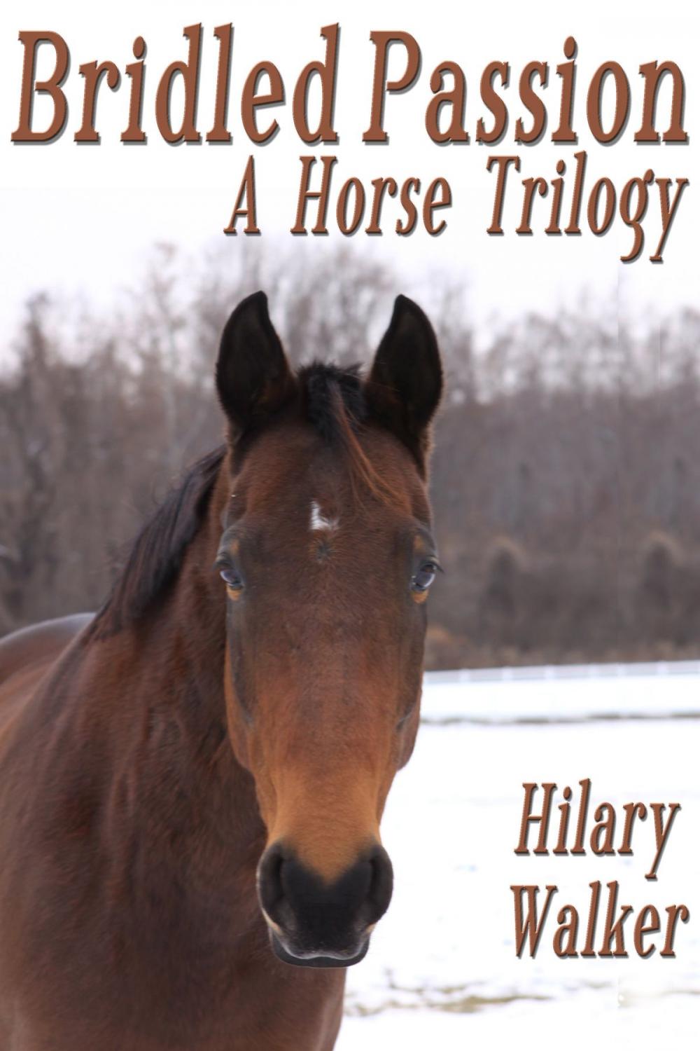 Big bigCover of Bridled Passion: A Horse Trilogy