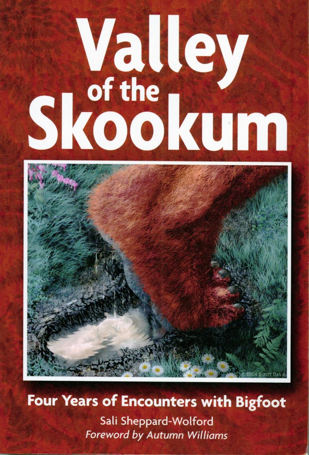 Big bigCover of Valley of the Skookum