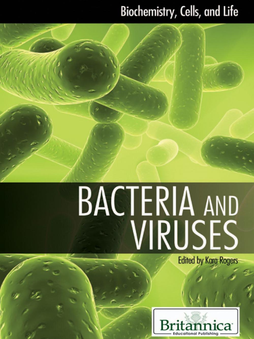 Big bigCover of Bacteria and Viruses