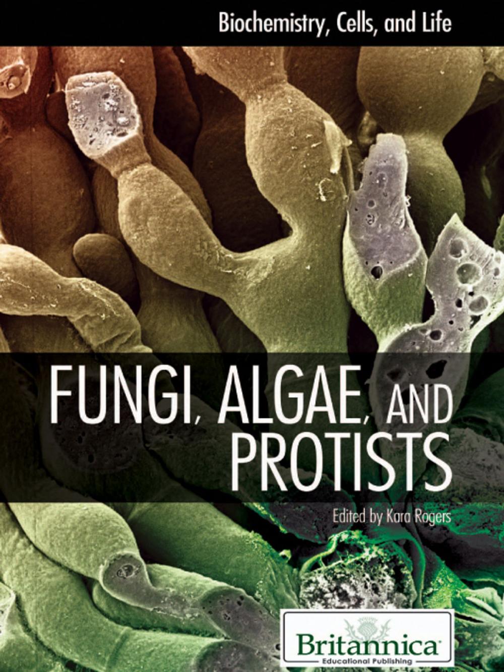 Big bigCover of Fungi, Algae, and Protists