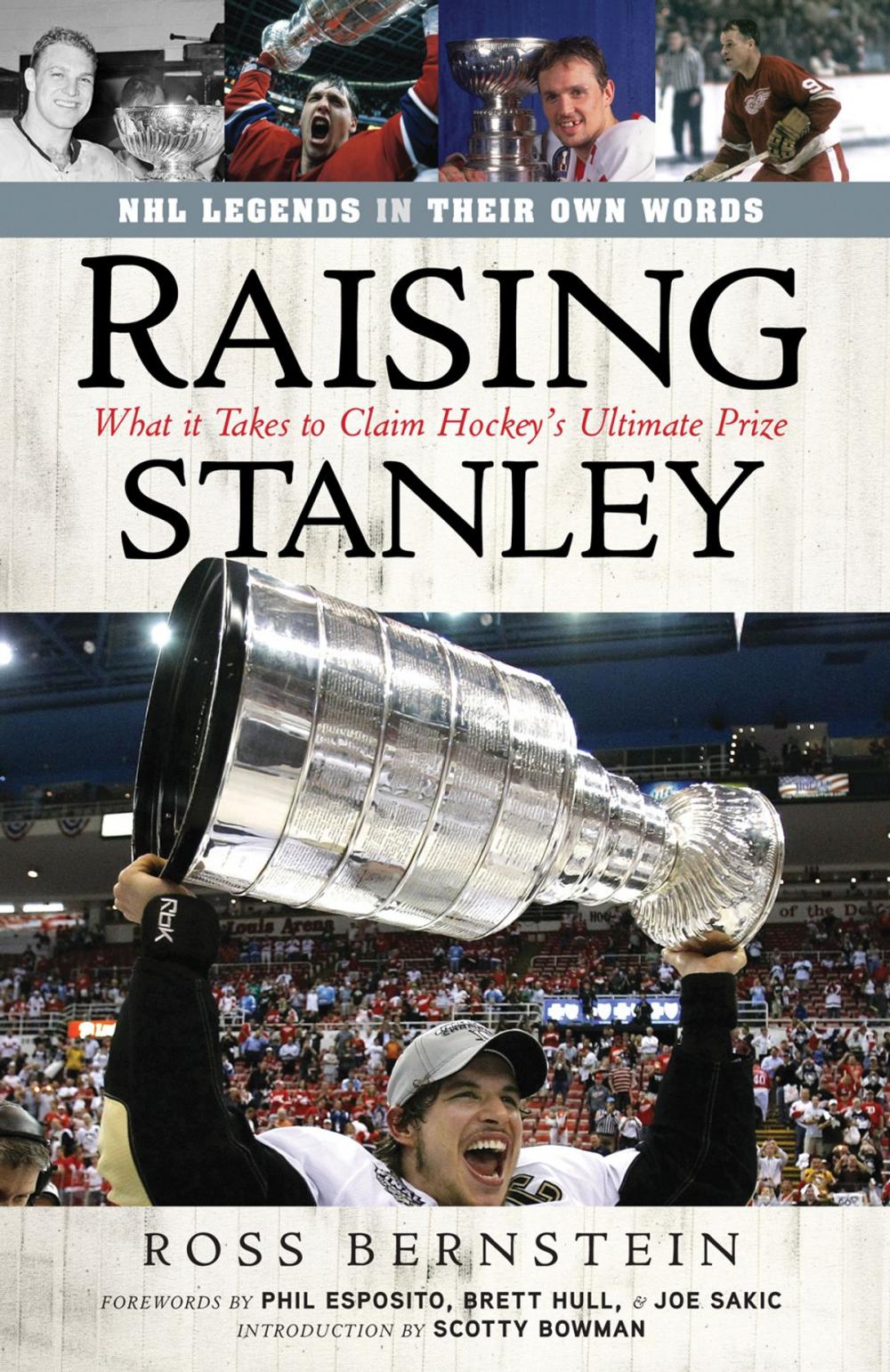 Big bigCover of Raising Stanley