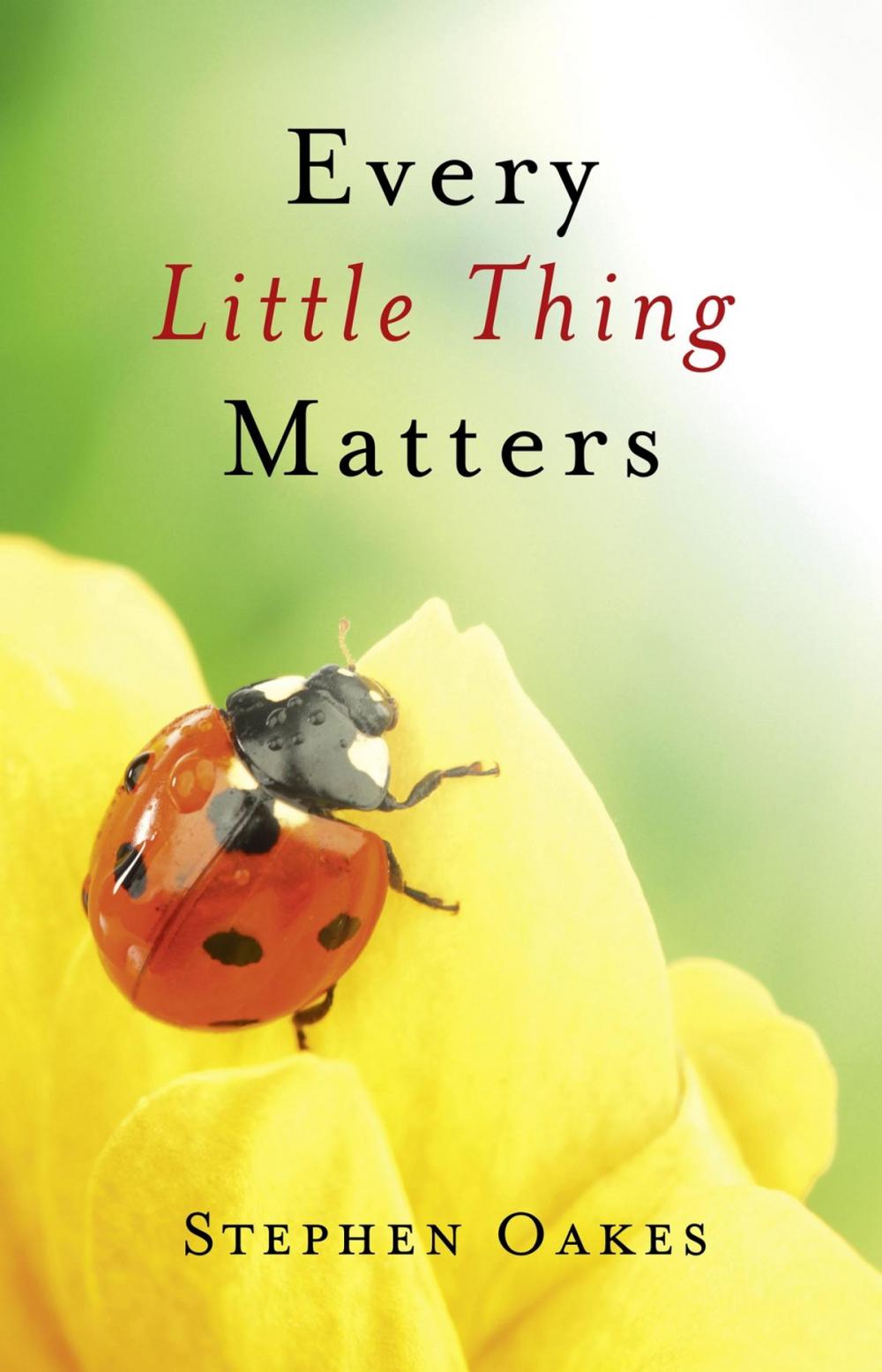 Big bigCover of Every Little Thing Matters