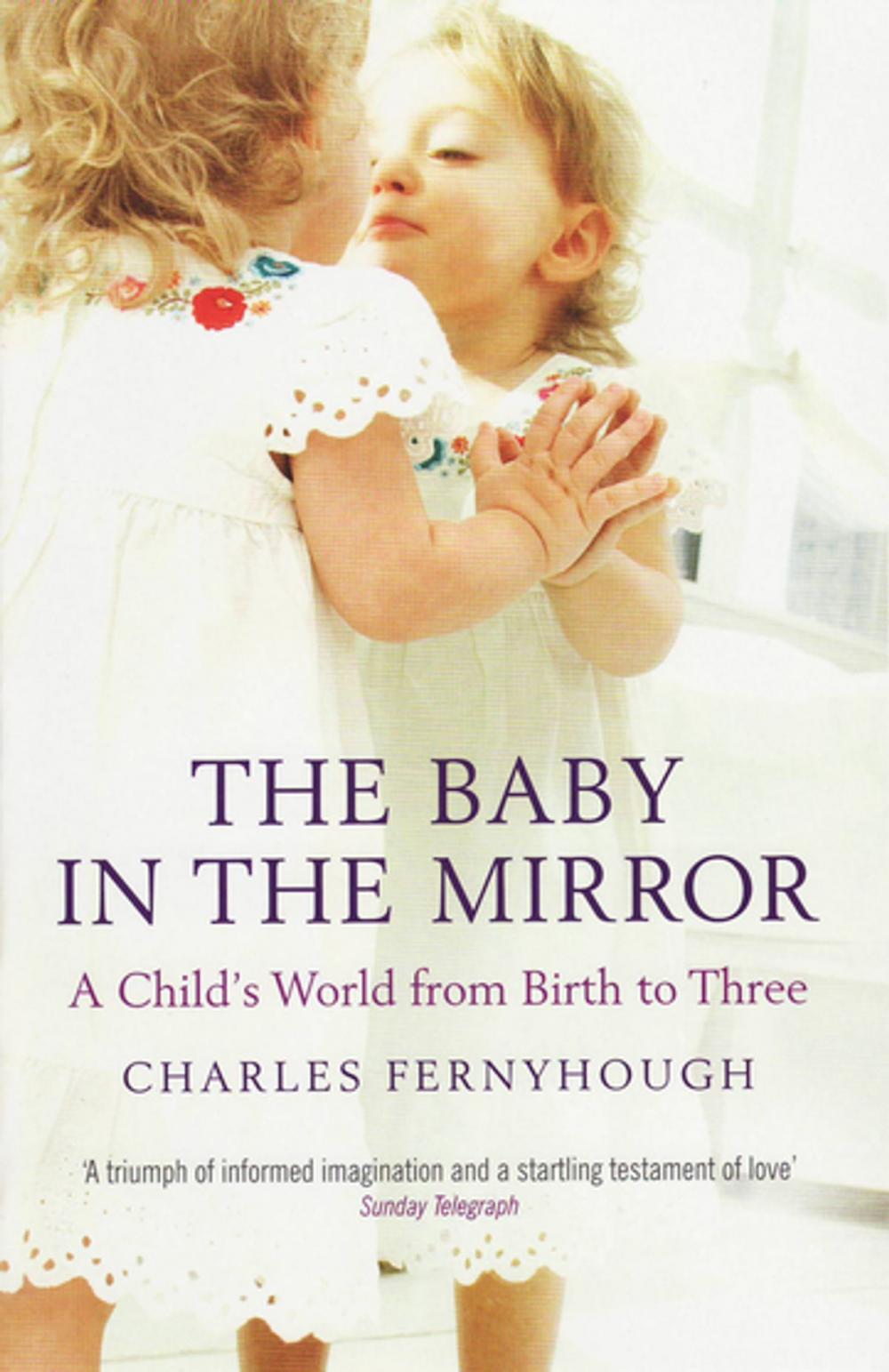 Big bigCover of The Baby In The Mirror