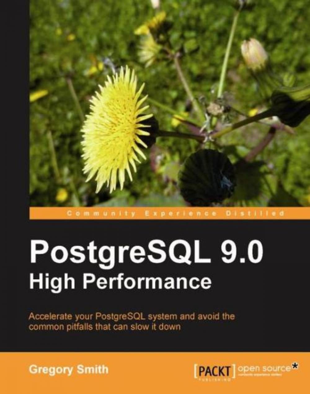 Big bigCover of PostgreSQL 9.0 High Performance