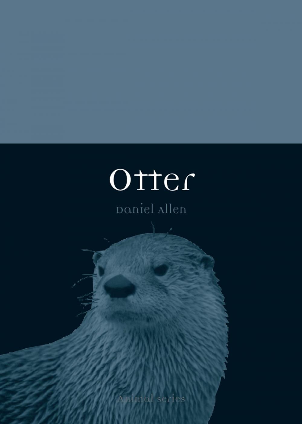 Big bigCover of Otter