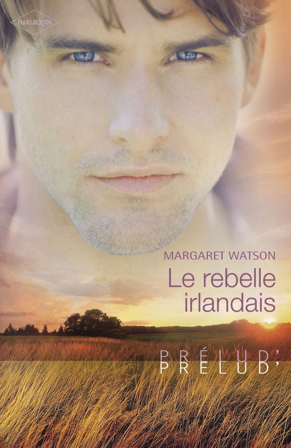 Big bigCover of Le rebelle irlandais (Harlequin Prélud')