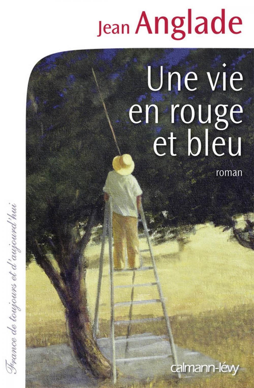 Big bigCover of Une vie en rouge et bleu