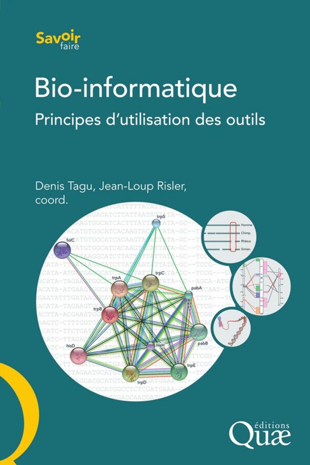 Big bigCover of Bio-informatique