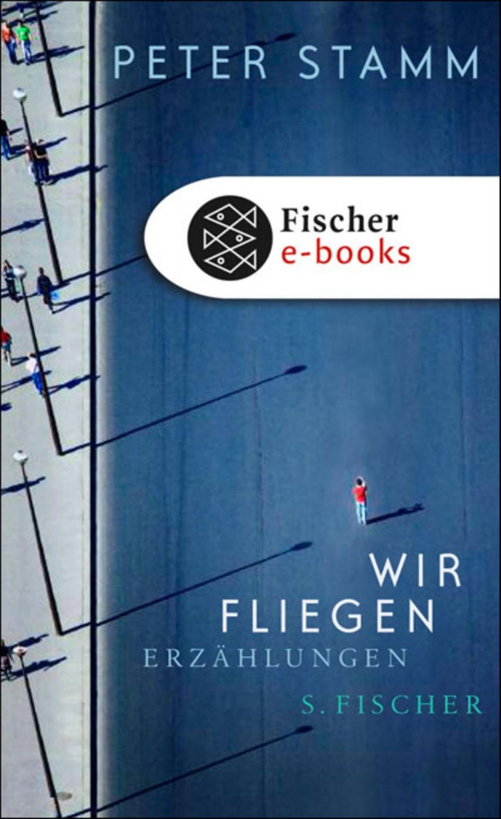 Big bigCover of Wir fliegen