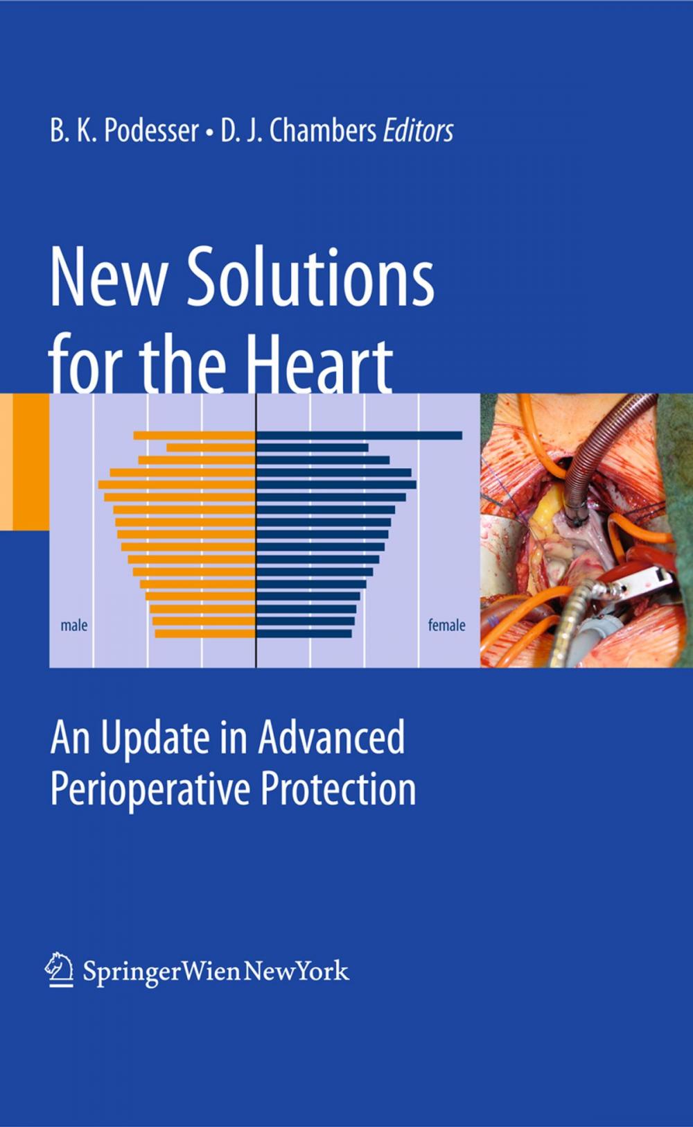 Big bigCover of New Solutions for the Heart