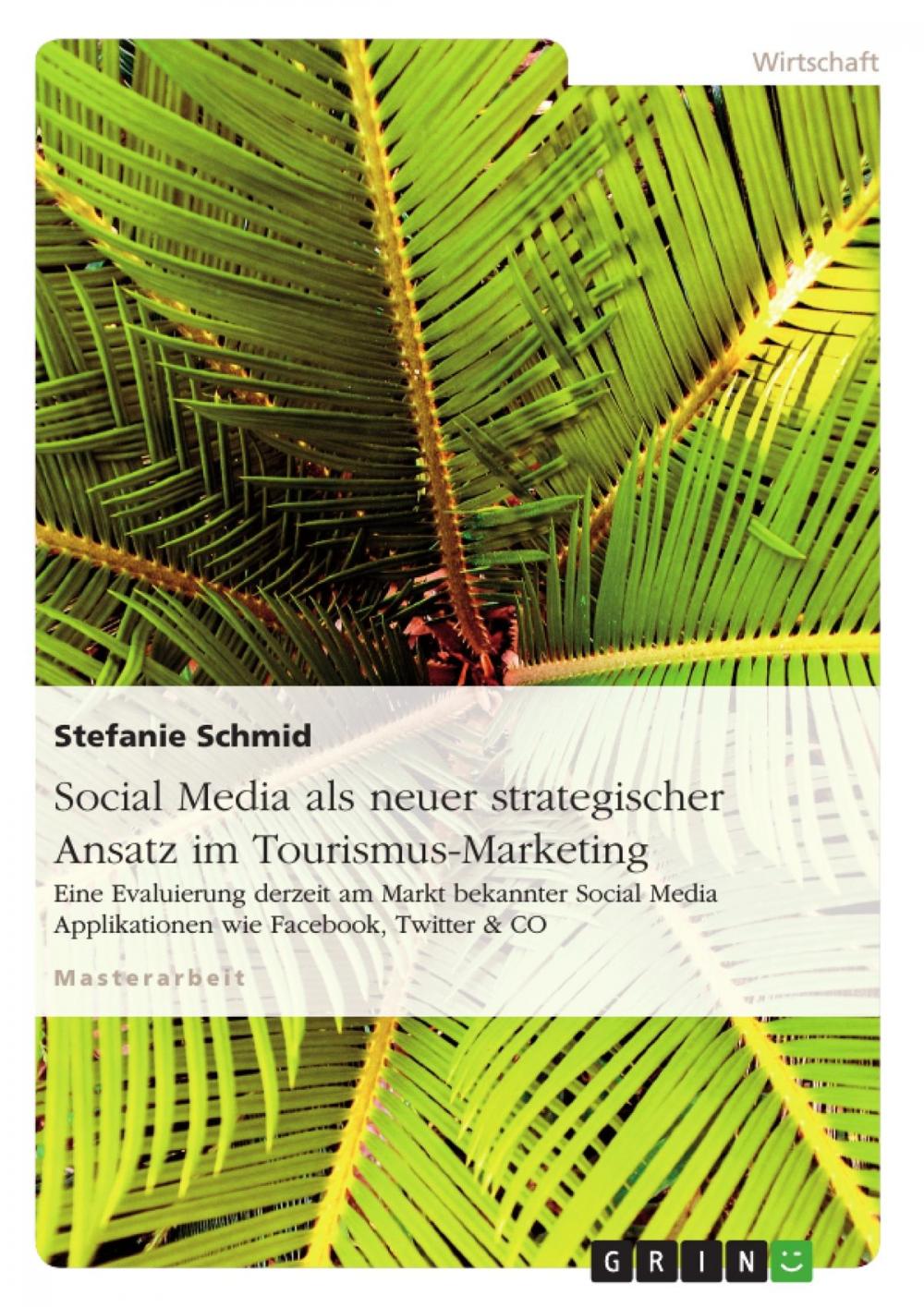 Big bigCover of Social Media als neuer strategischer Ansatz im Tourismus-Marketing