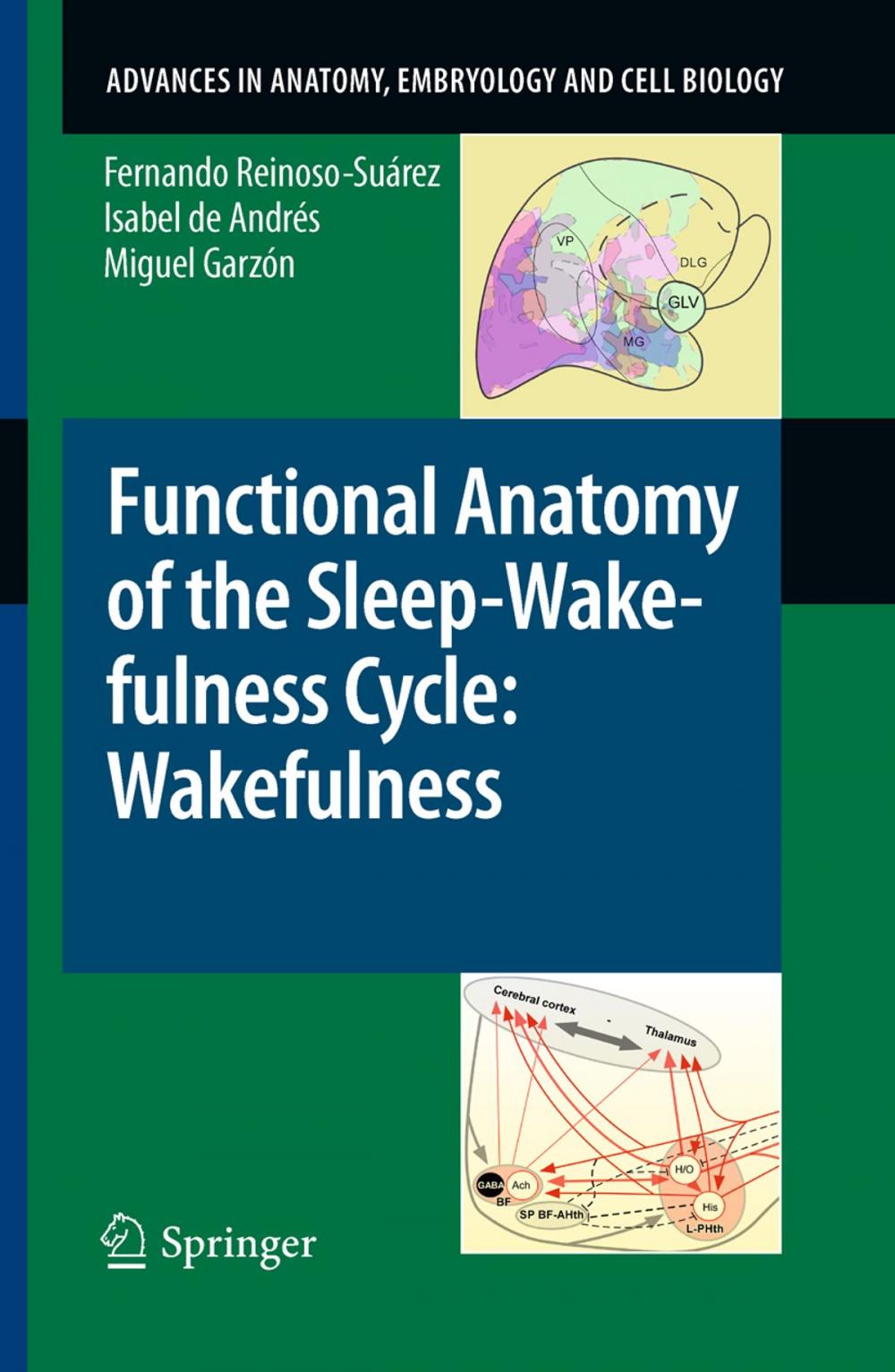 Big bigCover of Functional Anatomy of the Sleep-Wakefulness Cycle: Wakefulness