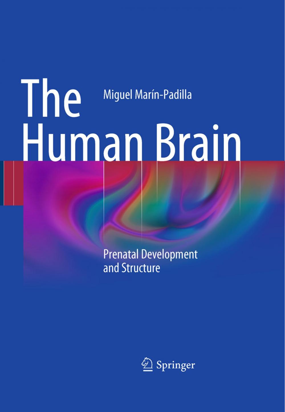 Big bigCover of The Human Brain