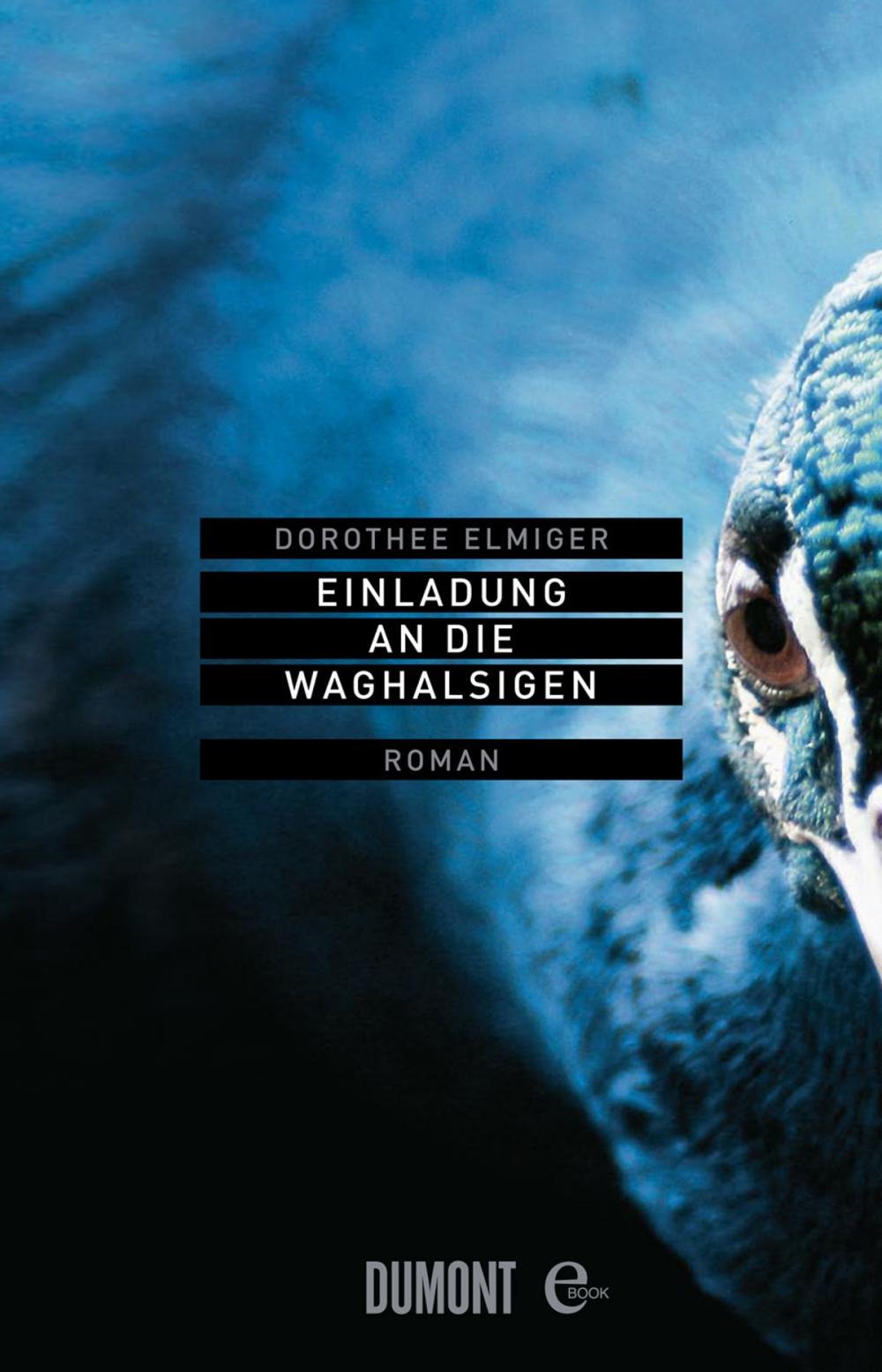 Big bigCover of Einladung an die Waghalsigen