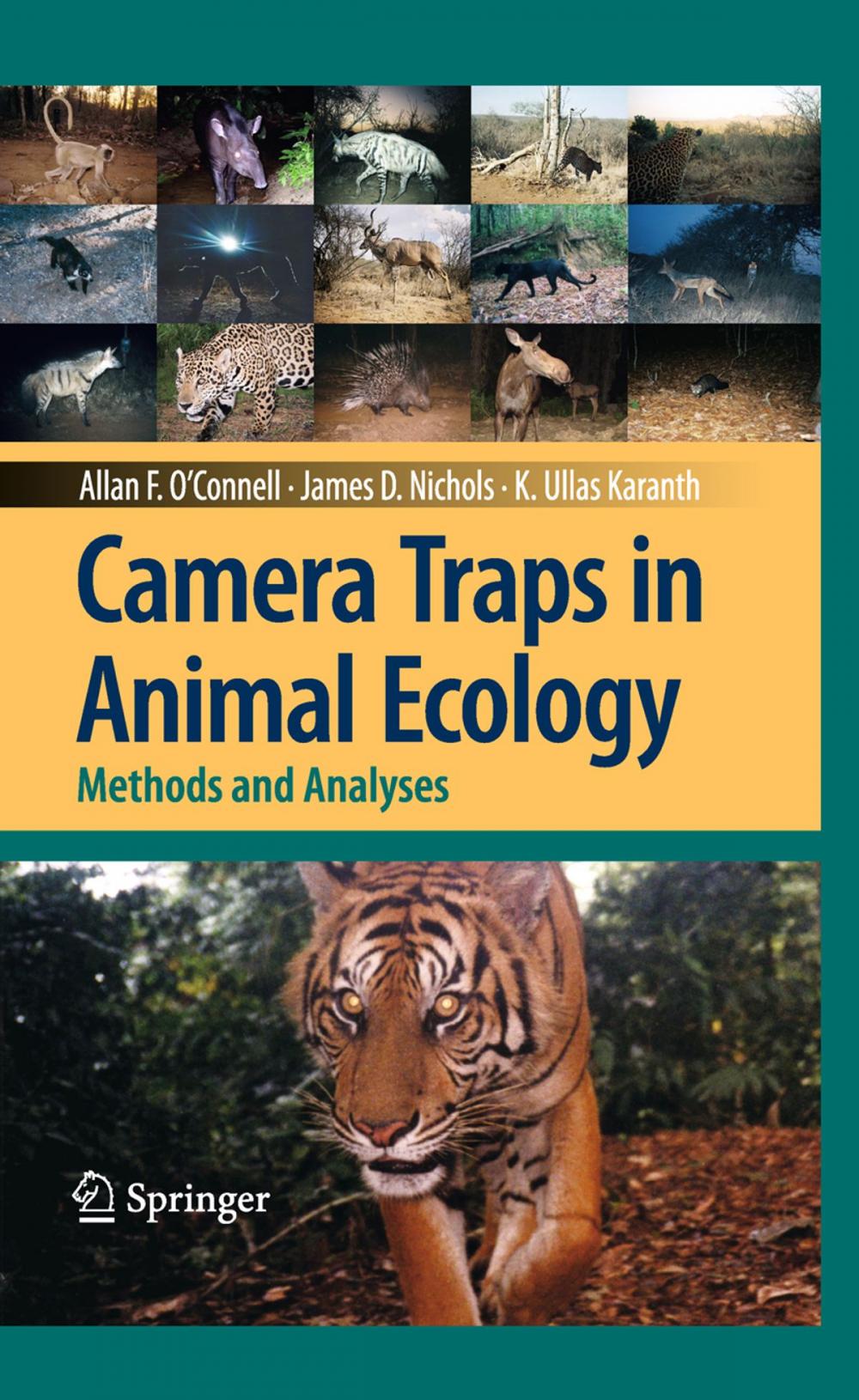 Big bigCover of Camera Traps in Animal Ecology