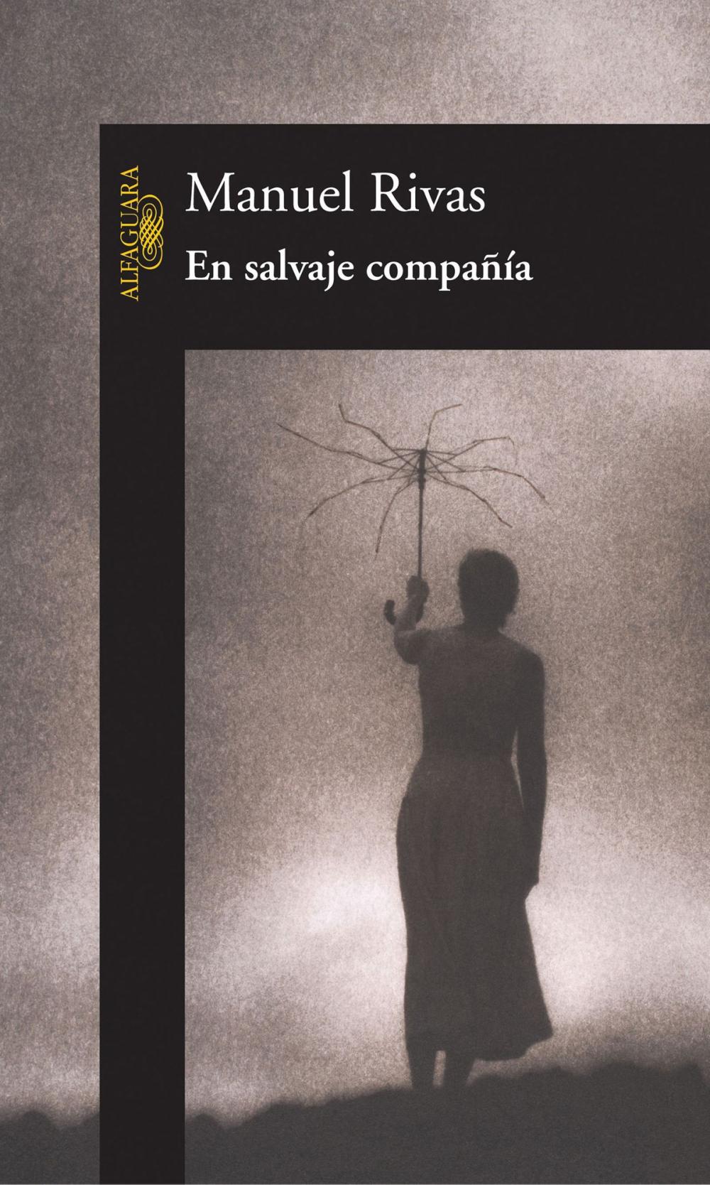 Big bigCover of En salvaje compañía