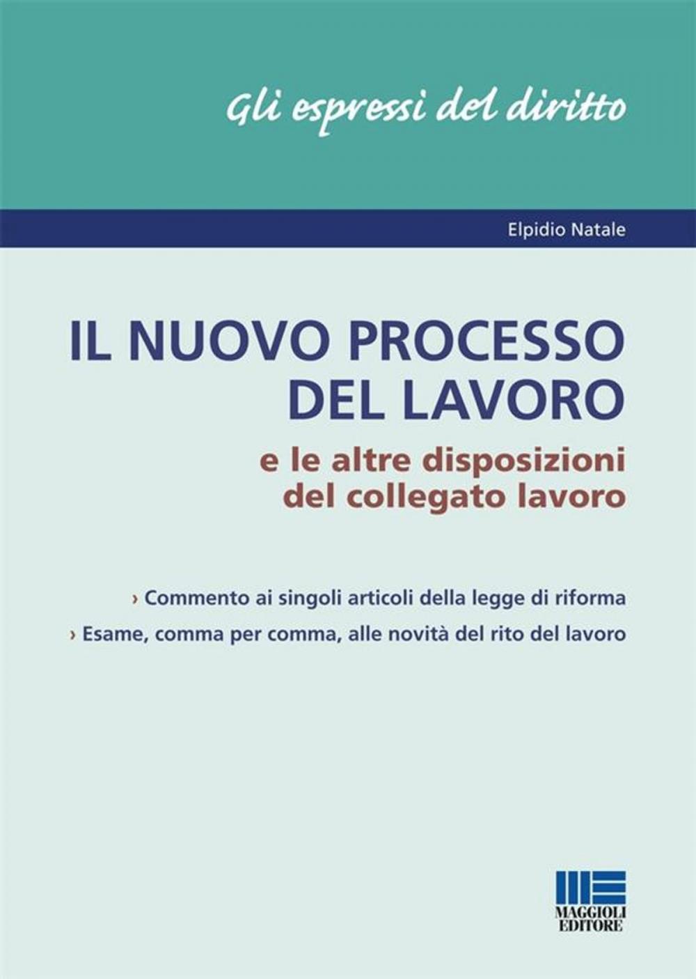 Big bigCover of Il nuovo processo del lavoro