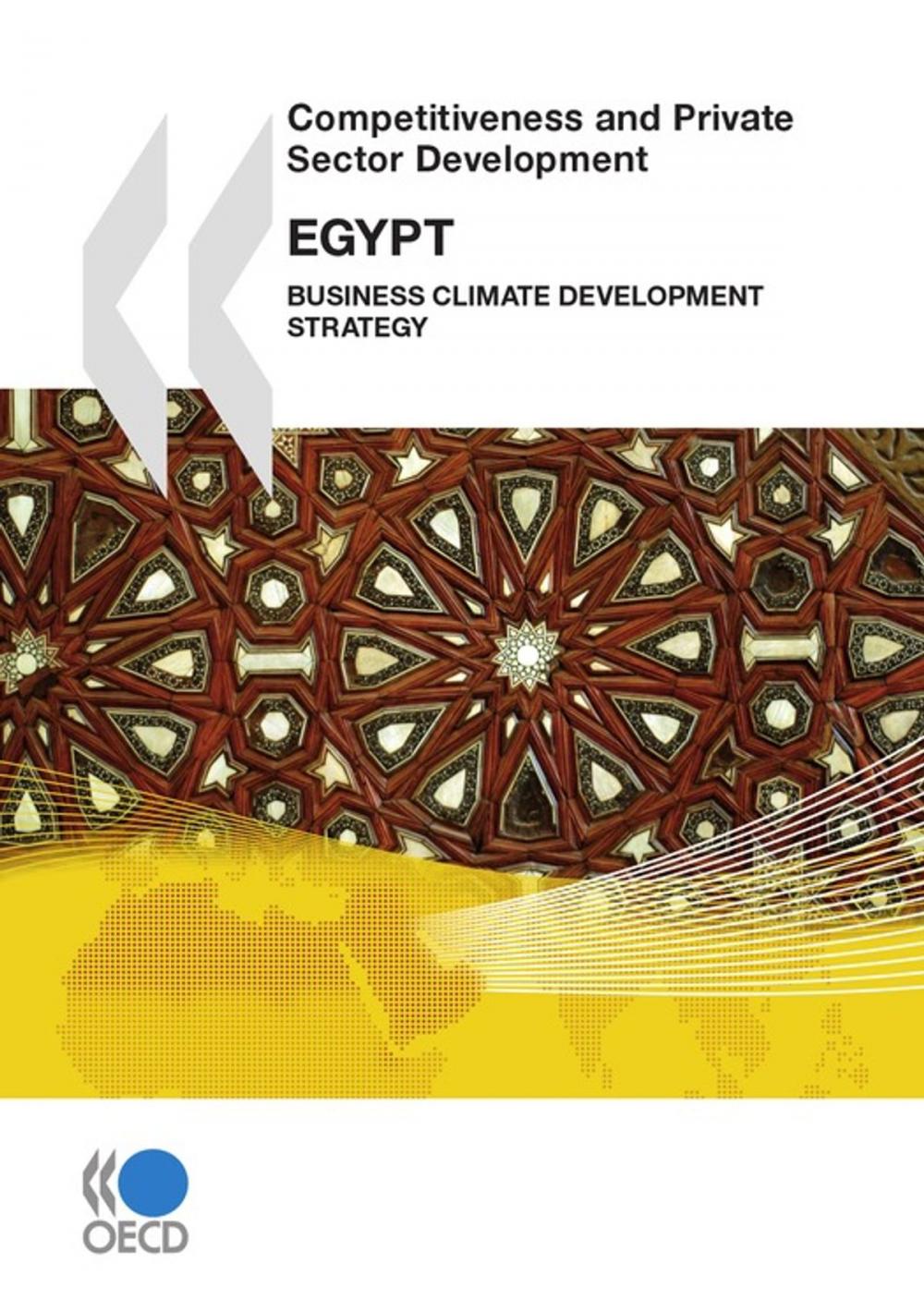 Big bigCover of Competitiveness and Private Sector Development: Egypt 2010