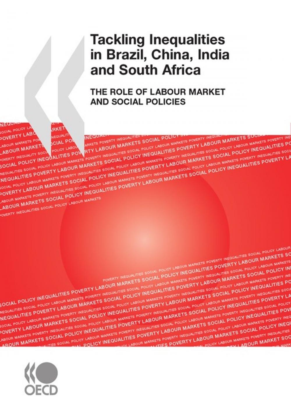 Big bigCover of Tackling Inequalities in Brazil, China, India and South Africa 2010