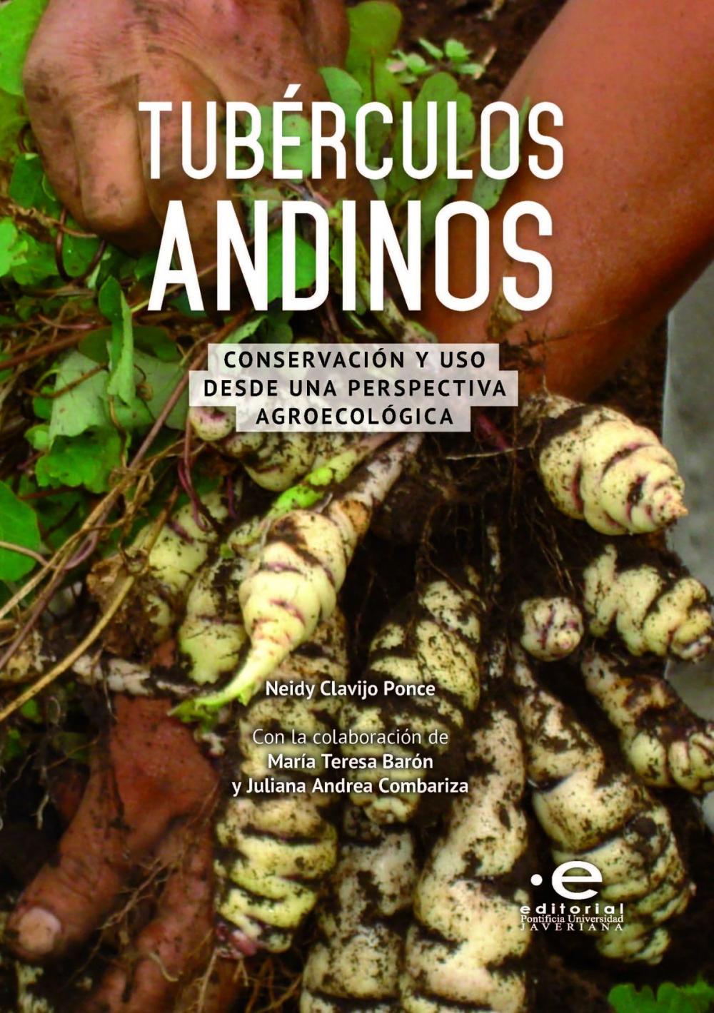 Big bigCover of Tubérculos andinos