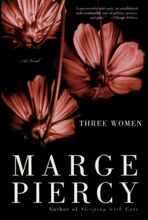 Cover of the book Three Women by Damian Marrett